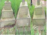 image of grave number 41171